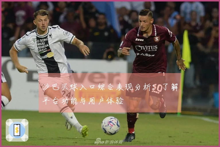 沙巴买球入口综合表现分析:了解平台功能与用户体验