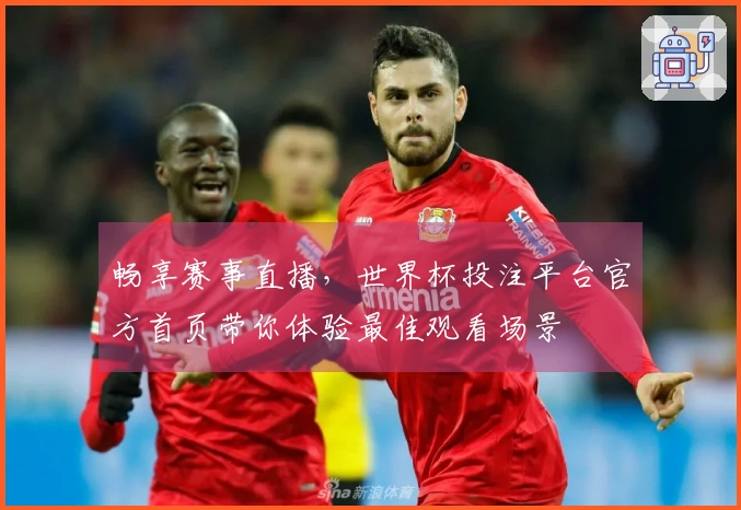 畅享赛事直播，世界杯投注平台官方首页带你体验最佳观看场景