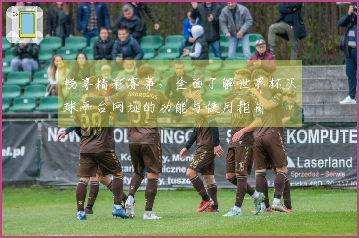 畅享精彩赛事，全面了解世界杯买球平台网址的功能与使用指南