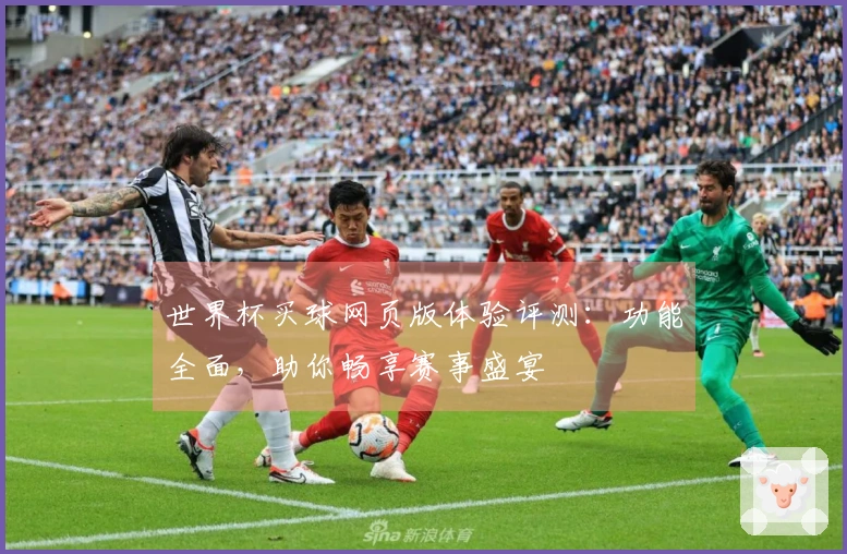 世界杯买球网页版体验评测：功能全面，助你畅享赛事盛宴