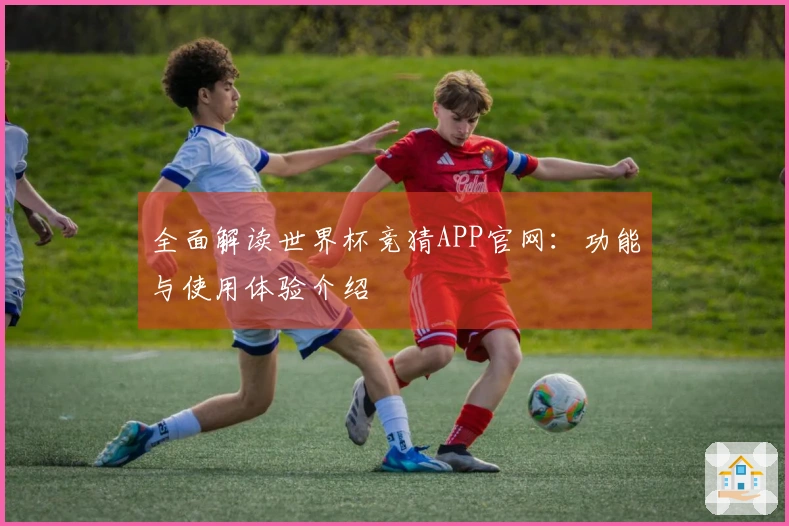 全面解读世界杯竞猜APP官网：功能与使用体验介绍