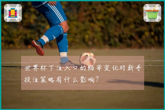 世界杯下注入口的赔率变化对新手投注策略有什么影响？