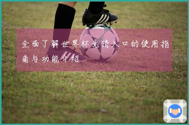 全面了解世界杯竞猜入口的使用指南与功能介绍
