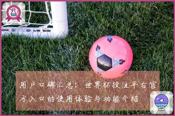 用户口碑汇总：世界杯投注平台官方入口的使用体验与功能介绍