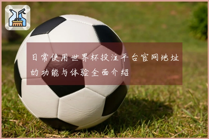 日常使用世界杯投注平台官网地址的功能与体验全面介绍