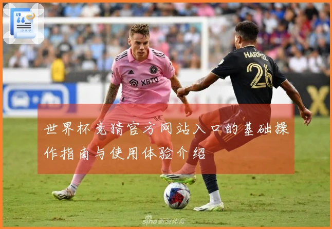 世界杯竞猜官方网站入口的基础操作指南与使用体验介绍