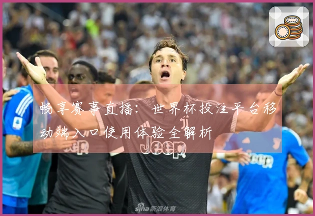 畅享赛事直播：世界杯投注平台移动端入口使用体验全解析